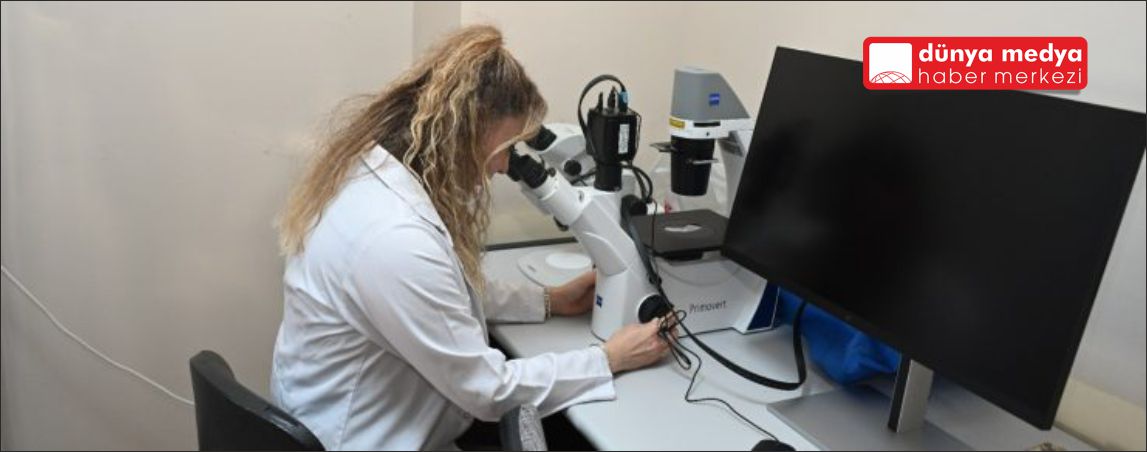 HMKÜ’de Kum Sinekleri ve Leishmaniasis Hastalığına Karşı Önemli Araştırma